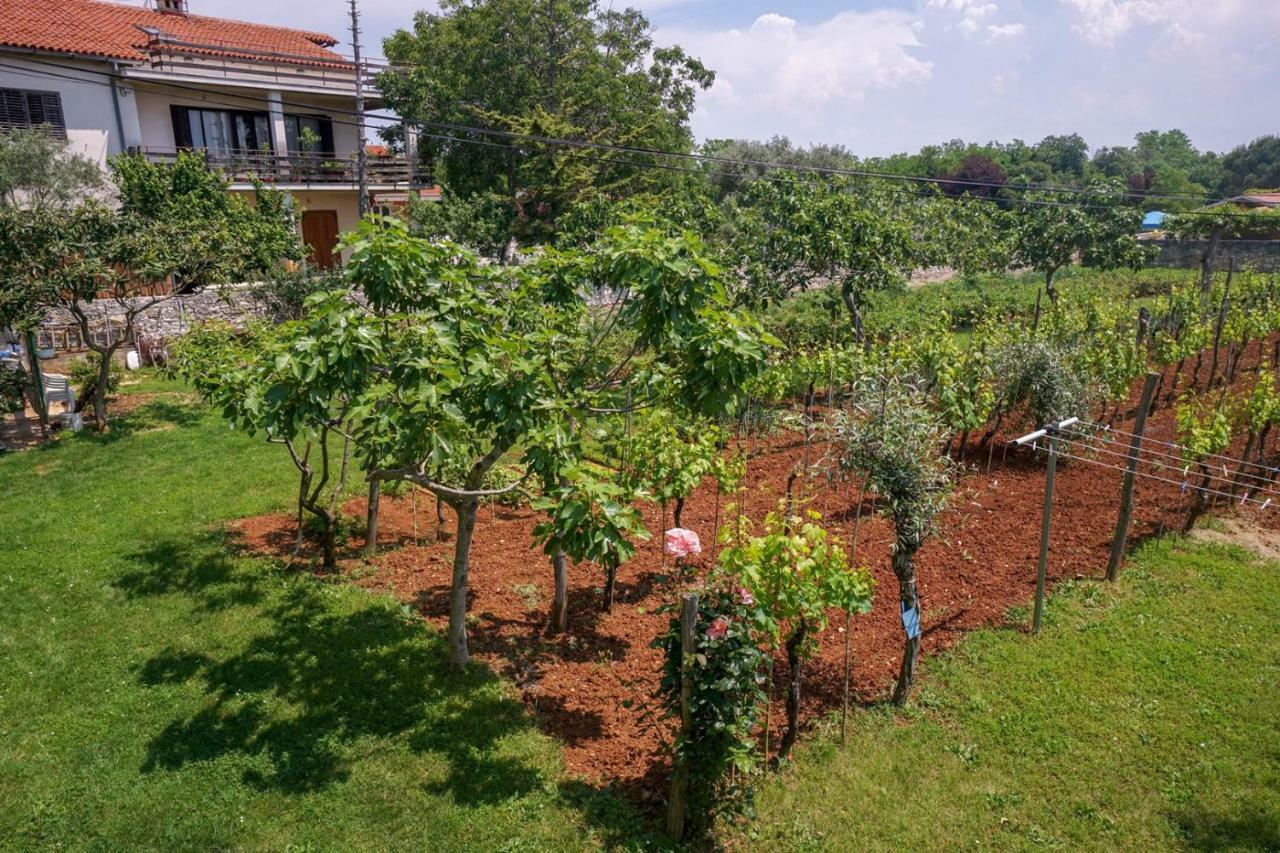 Apartment Sandra Umag Ngoại thất bức ảnh
